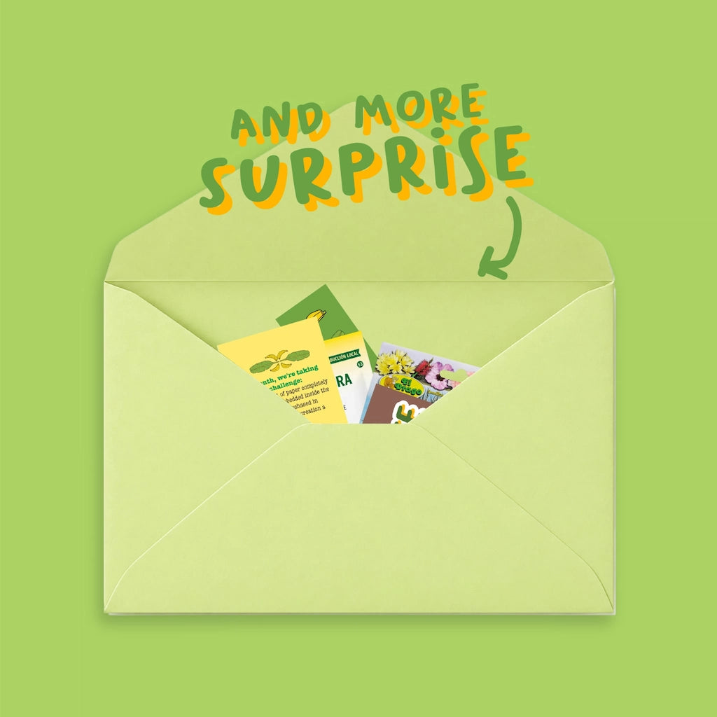 Traveling Post Lady Mail Club